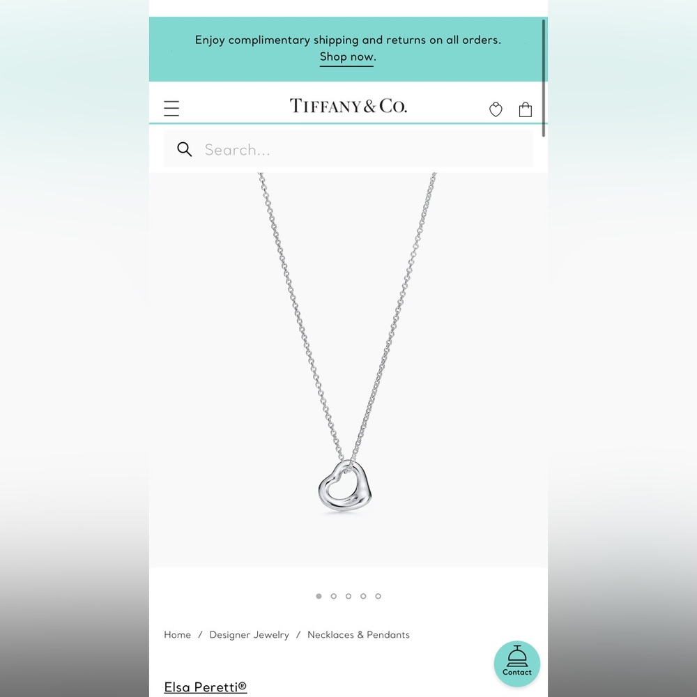 Tiffany & Co Necklace